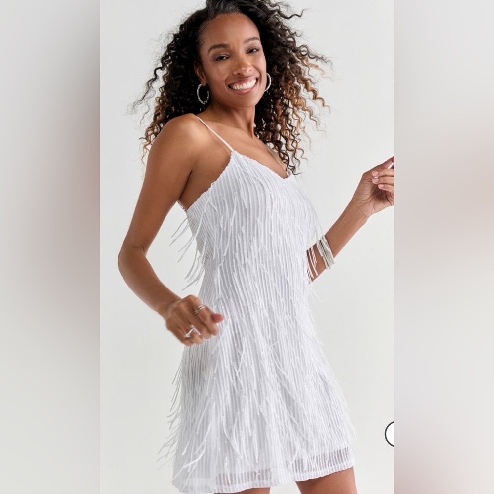 Fringe sequin dress
